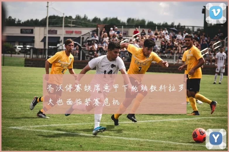 齐沃停赛缺席意甲下轮助教科拉罗夫也面临禁赛危机