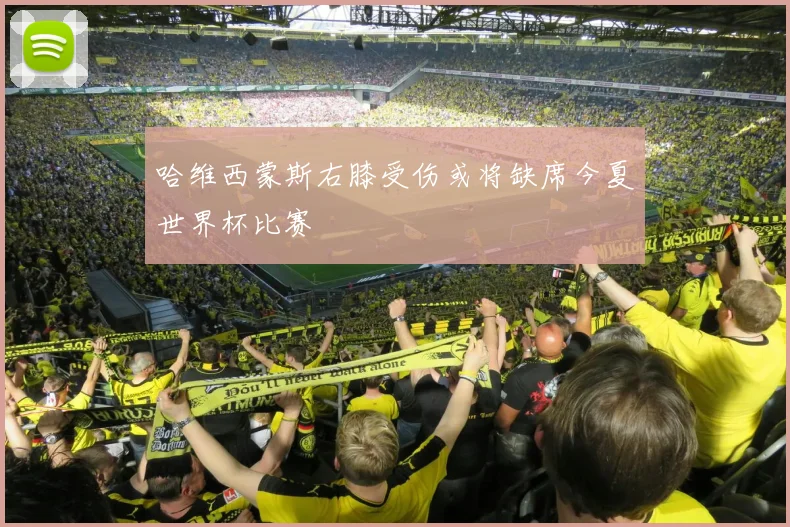 哈维西蒙斯右膝受伤或将缺席今夏世界杯比赛